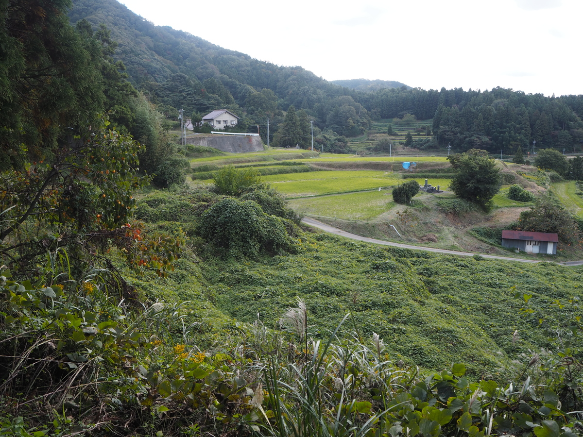 室谷の棚田の風景