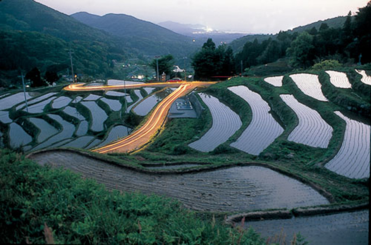 室谷の棚田（水田）