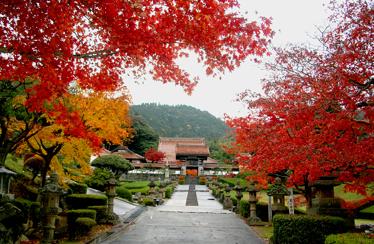 秋の龍雲寺