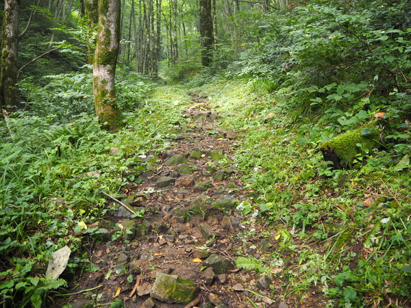 徐々に山の奥深くへ…