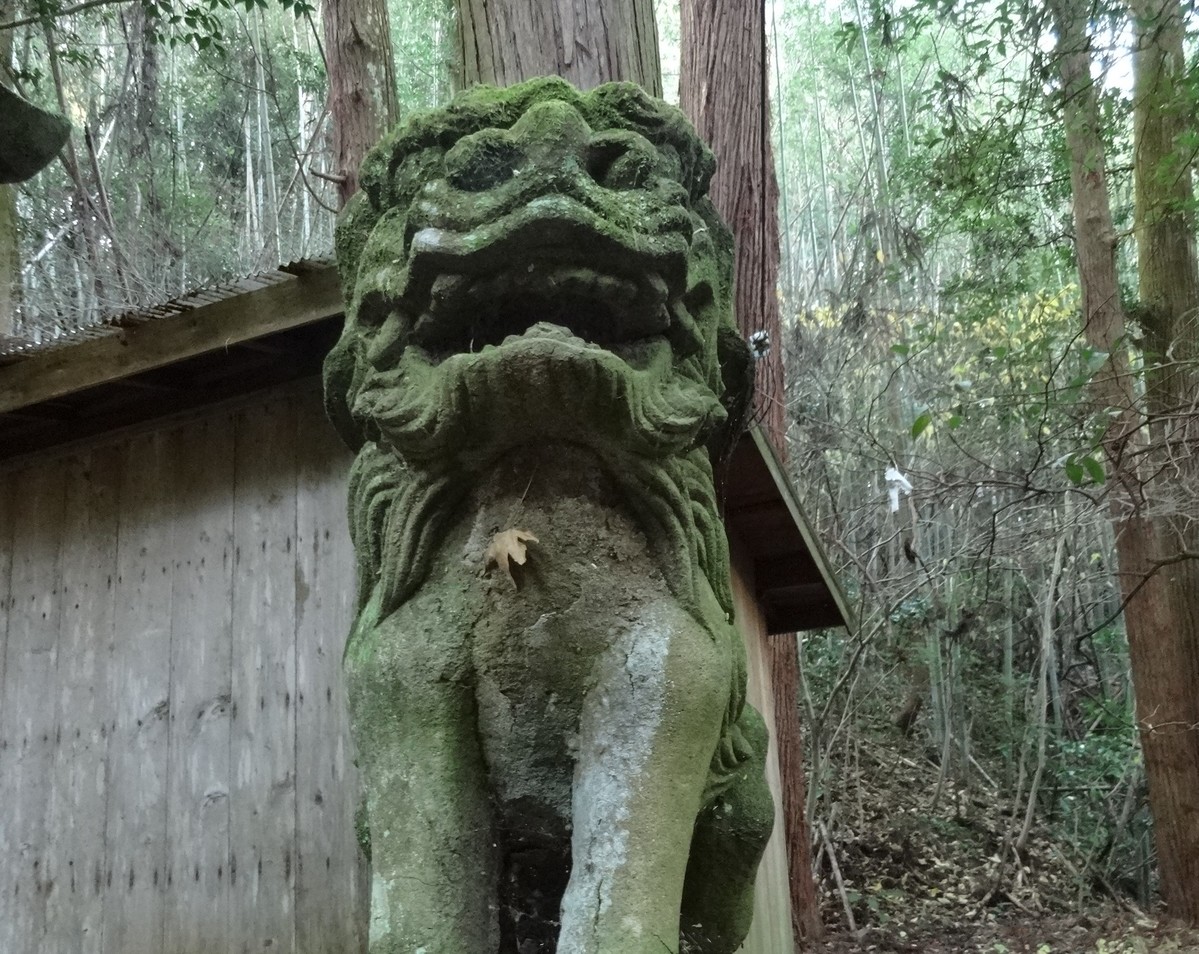 多鳩神社の狛犬