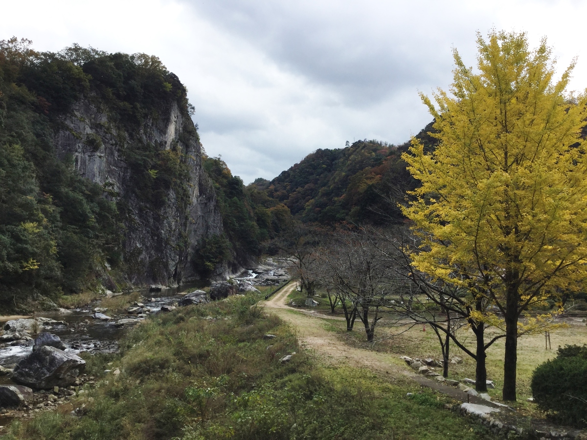 江の川の支流、濁川（にごりがわ）が流れる渓谷