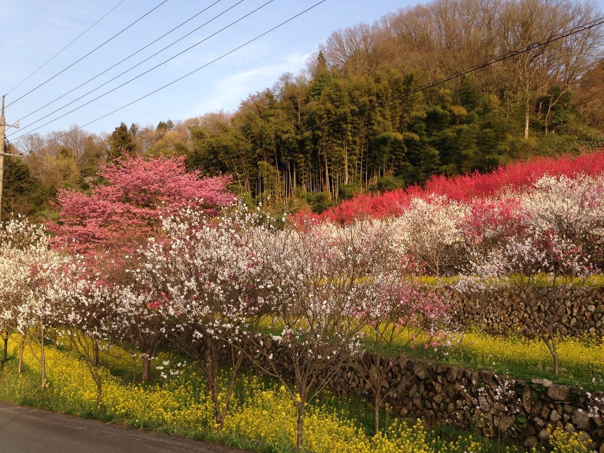 住民の平均年齢が約80歳で「天国に一番近い里」として地域おこしを進める邑南町上口羽の川角集落