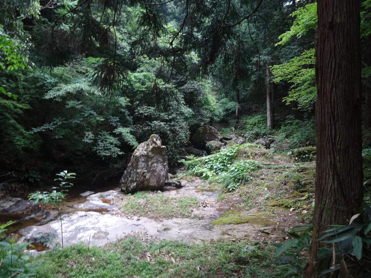 深篠川（ふかしのがわ）沿いの風景