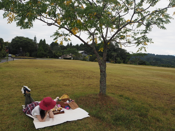 ピクニック（寝転がる）