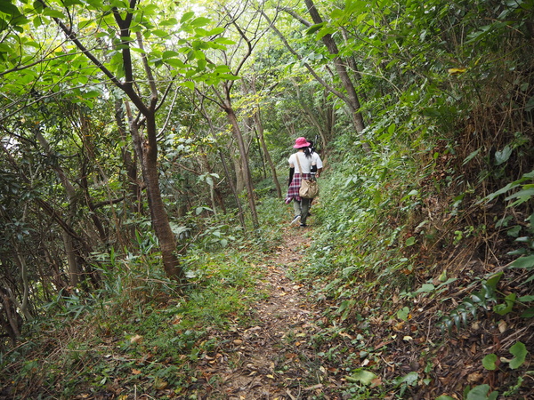 山道