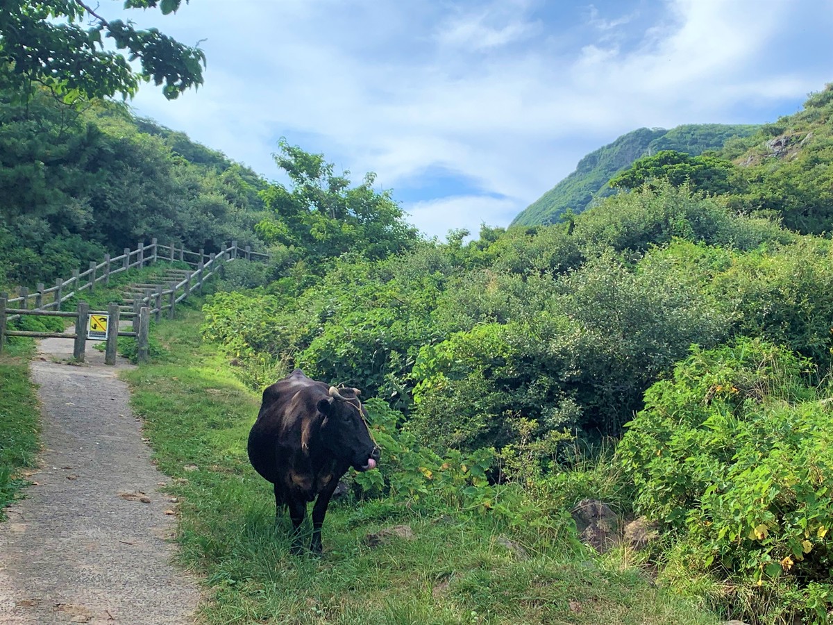 遊歩道入口