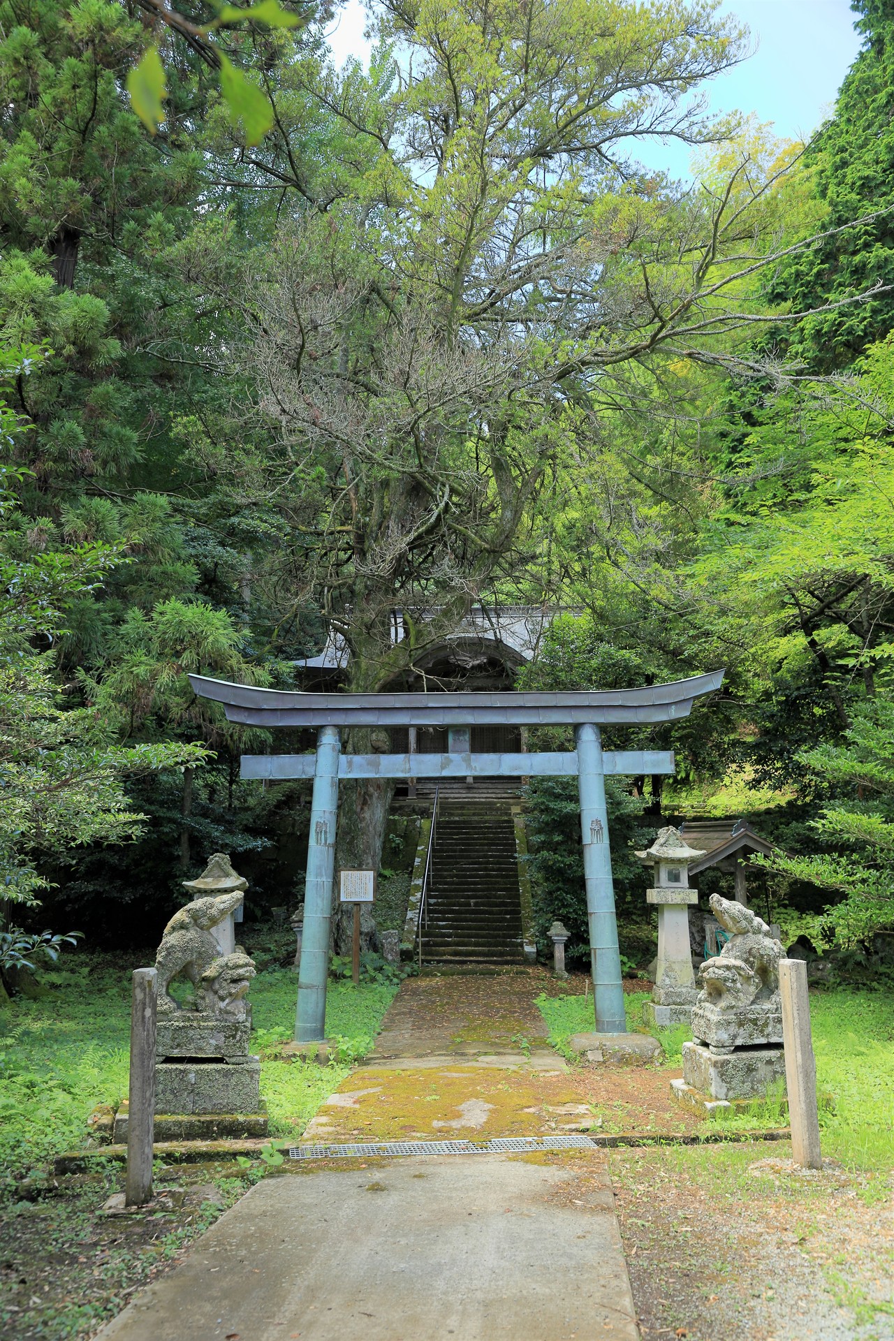 奈伎良比賣神社