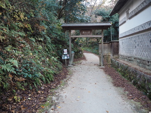 11月４