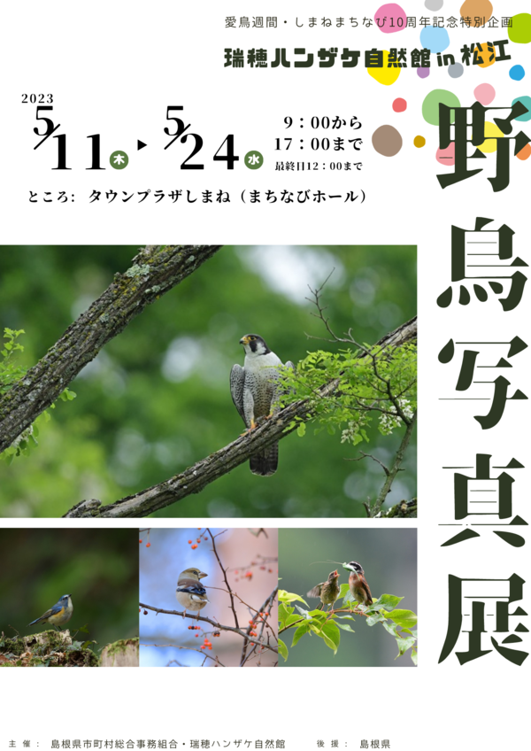 野鳥写真展チラシ