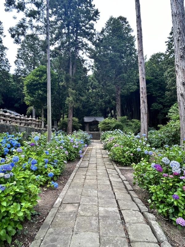 「山陰のあじさい寺」として県内外の多くの方が訪れます。