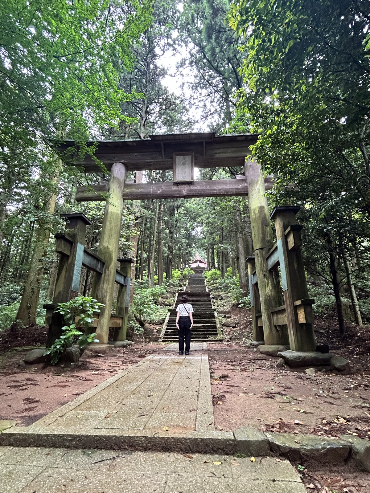 山頂に構える神社の長い階段を上がると･･･その中腹でまた大きな鳥居を発見･･･！