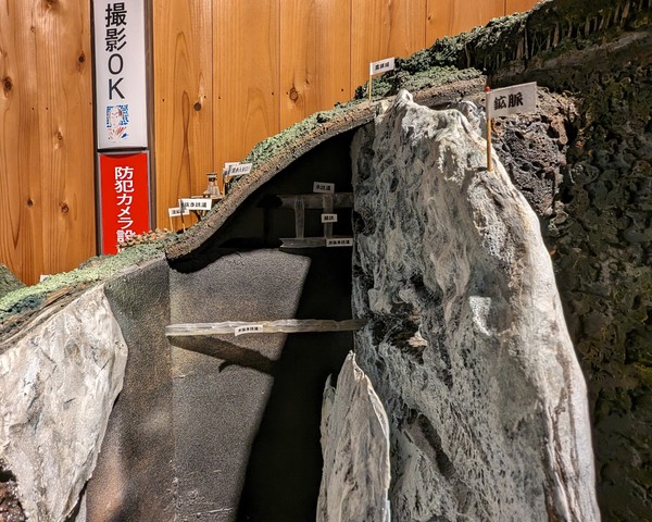 20館内２