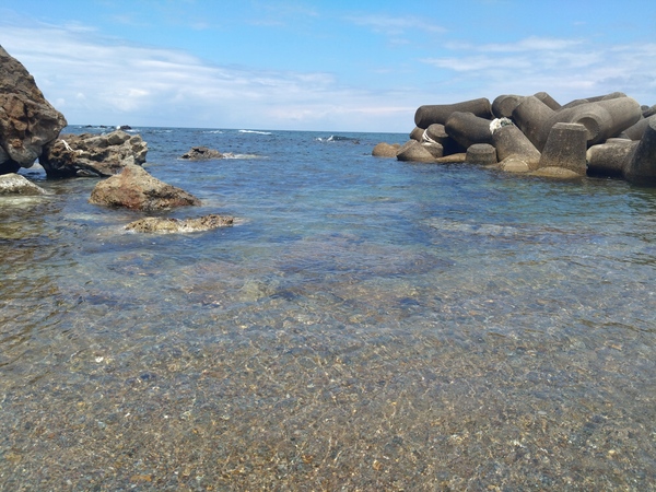 海