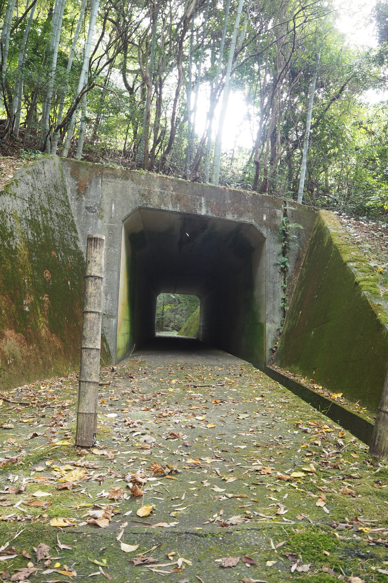 トンネル入口