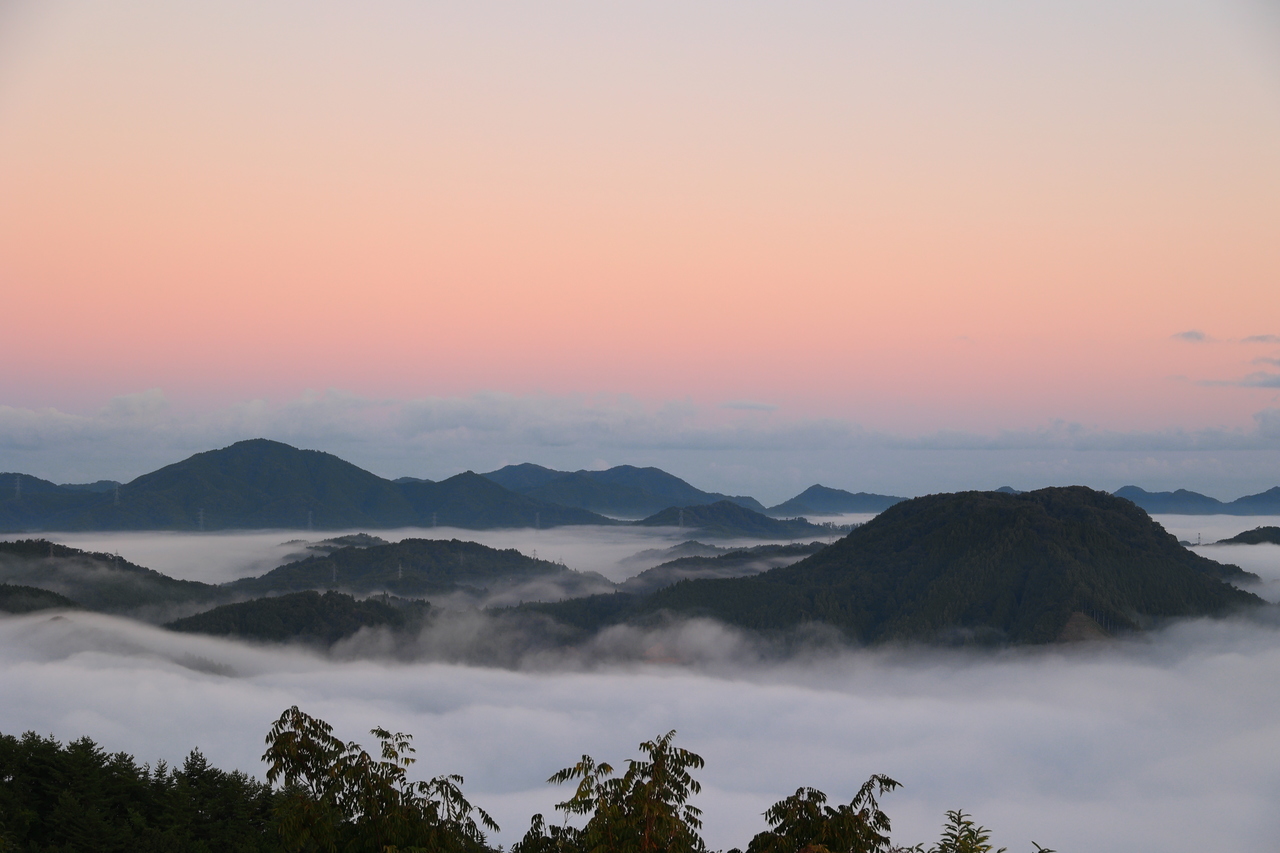 田之原展望台からの雲海