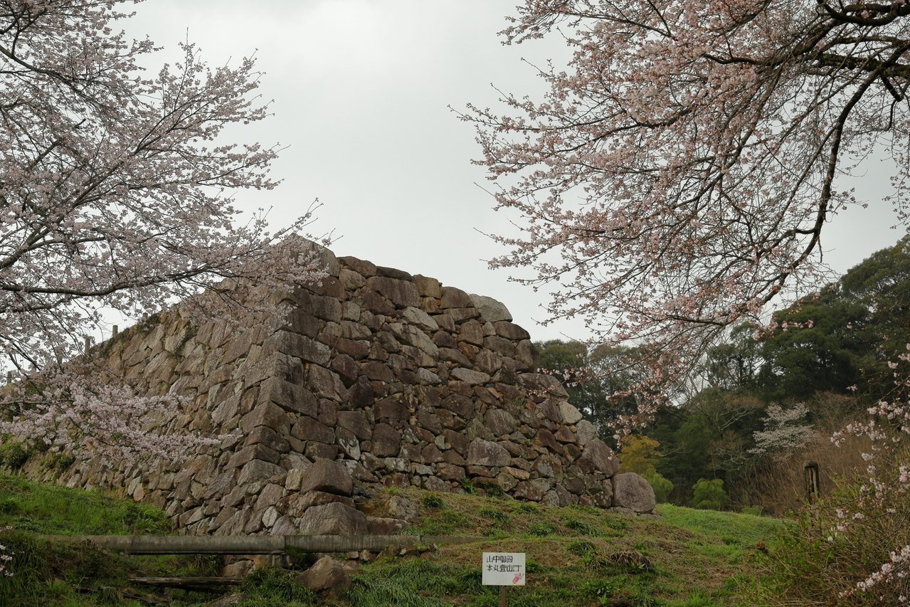 春の月山富田城跡