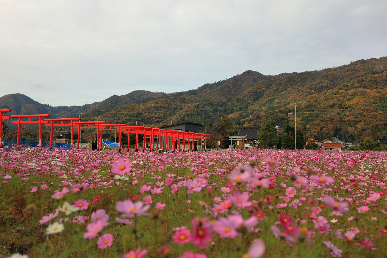 粟津稲生神社