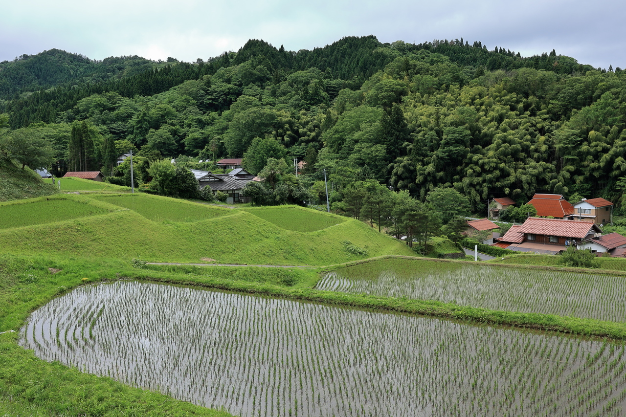 追谷の棚田