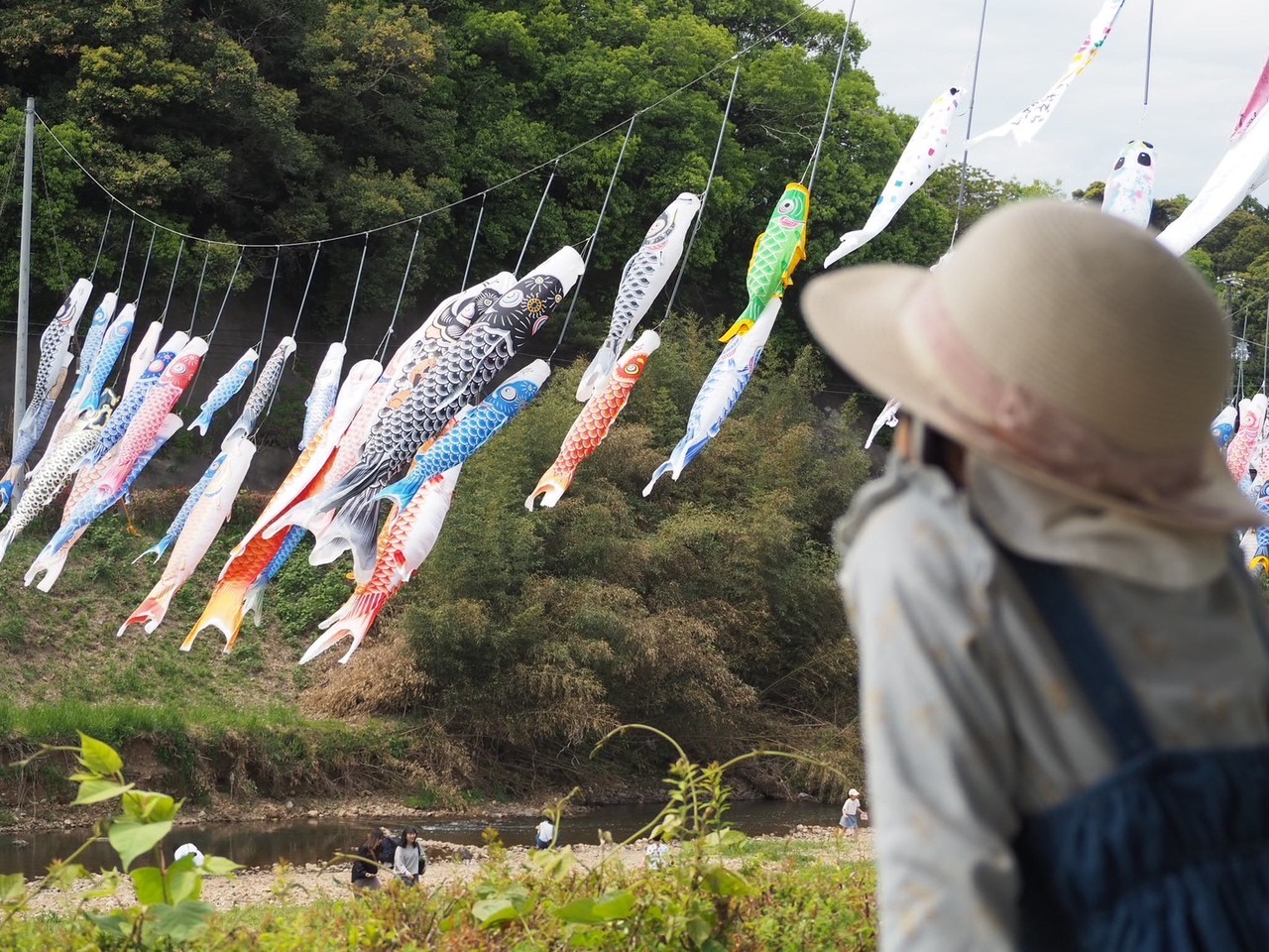 八雲のこいのぼり
