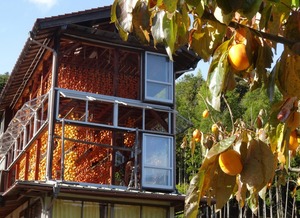 畑地区の柿小屋