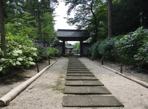 山陰のあじさい寺、月照寺。