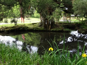 高津川の水源（水源公園）