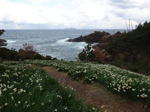 唐音水仙公園