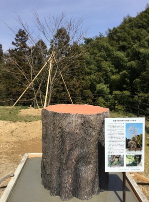 海老谷桜の巨木のモニュメント