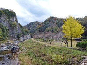 断魚公園の景色