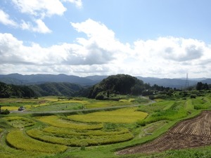 山王寺の棚田