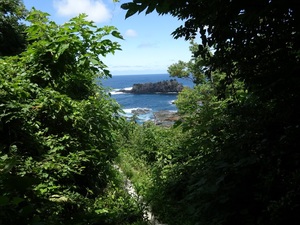 黒島海岸遊歩道から見る黒島