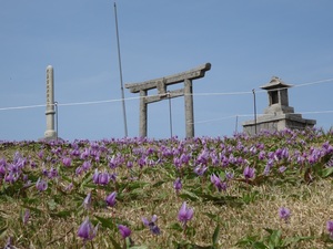 春の船通山