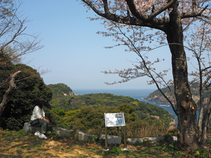 浜田城跡