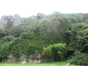 龍厳山のノウゼンカズラ