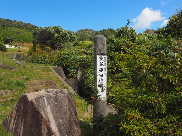 室谷の棚田