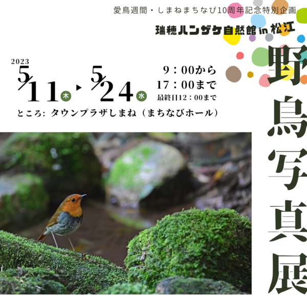 野鳥写真展